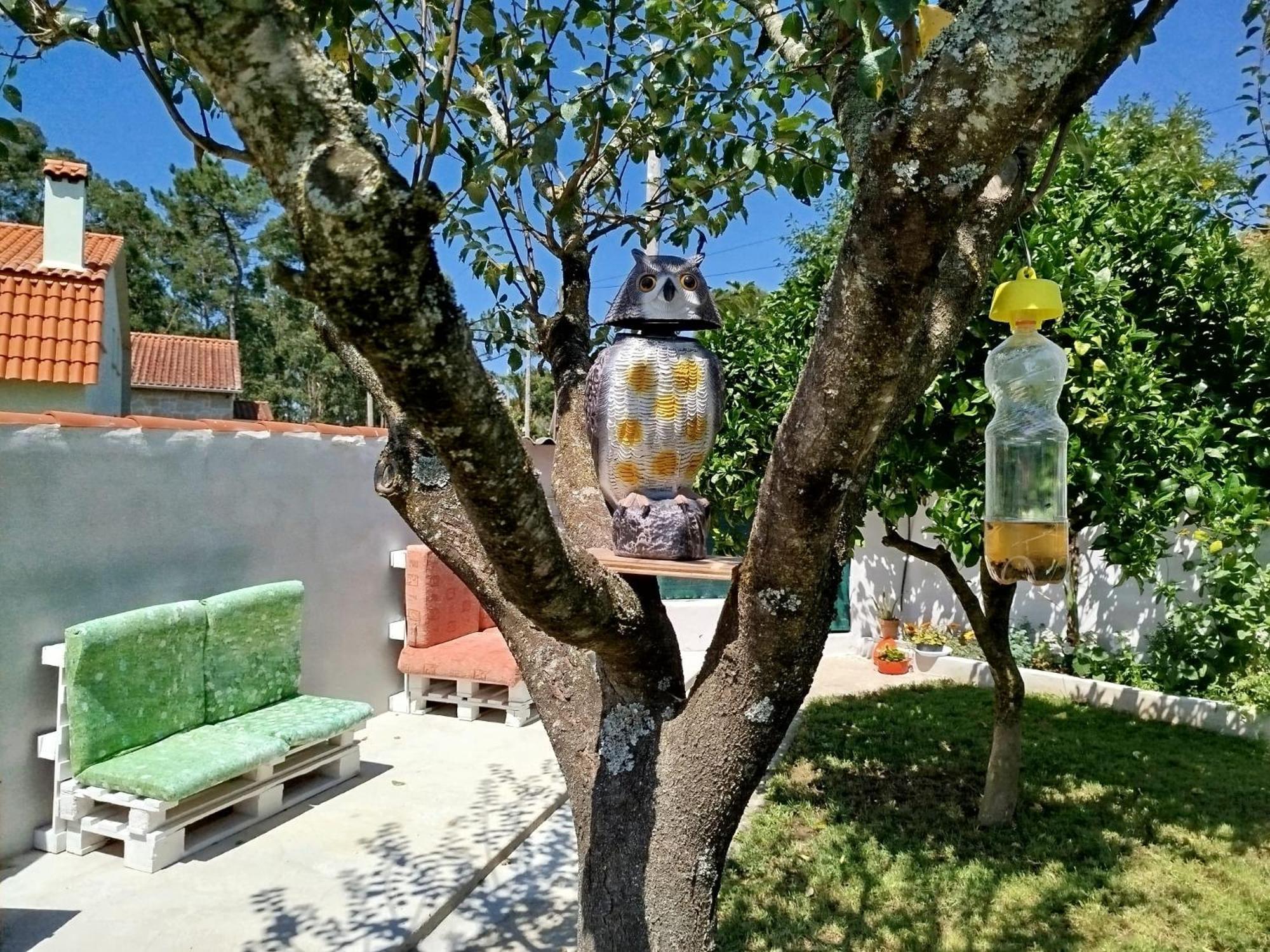 A Telleira Villa Rosal Buitenkant foto
