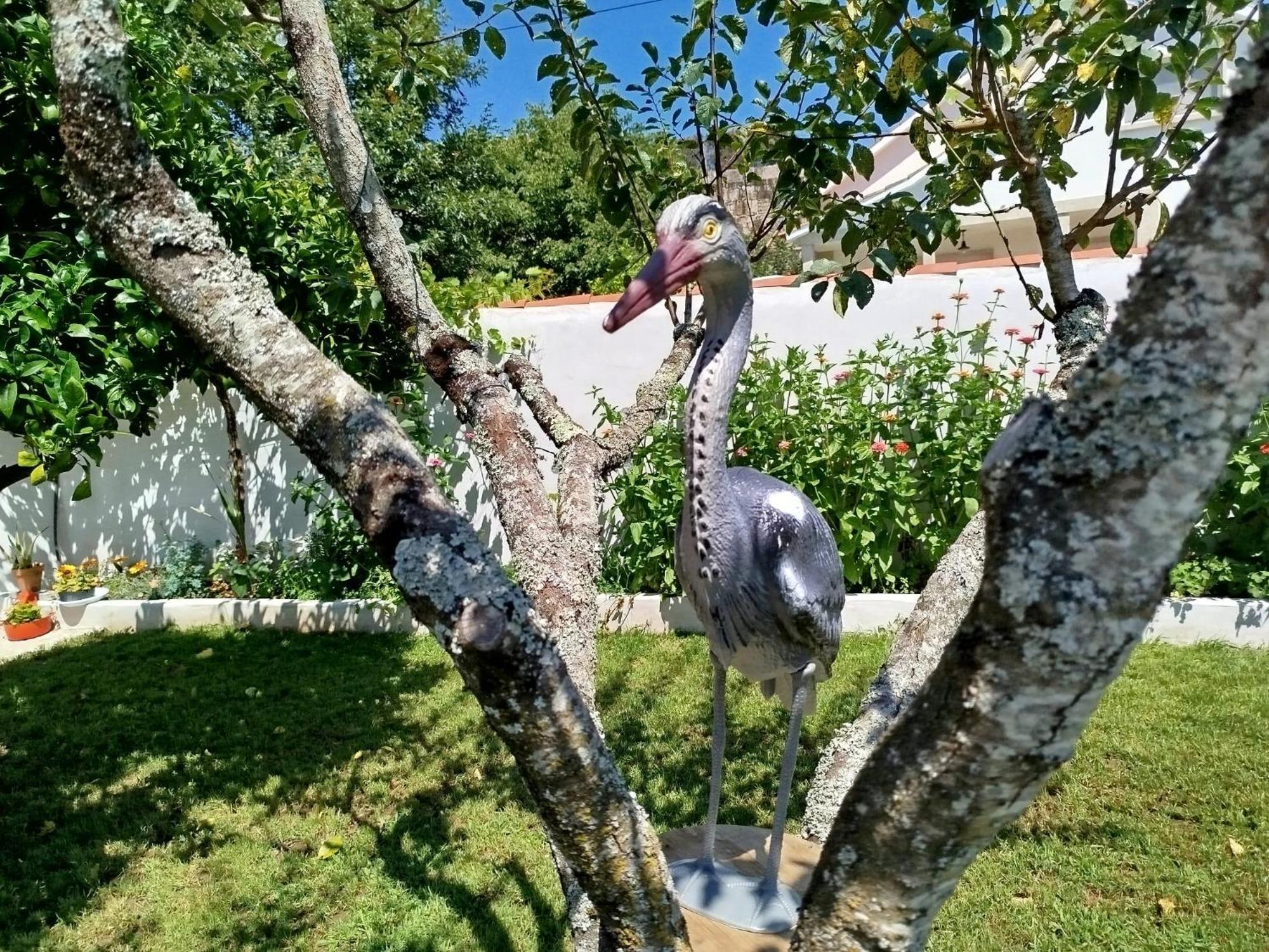 A Telleira Villa Rosal Buitenkant foto